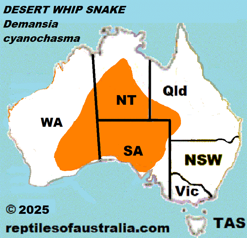 Approximate distribution of the Desert Whip Snake (Demansia cyanochasma)